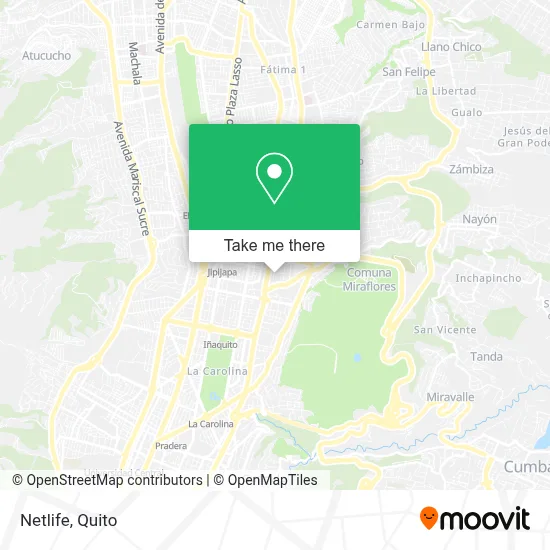 Netlife map