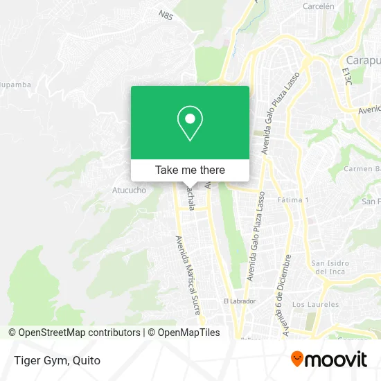 Tiger Gym map