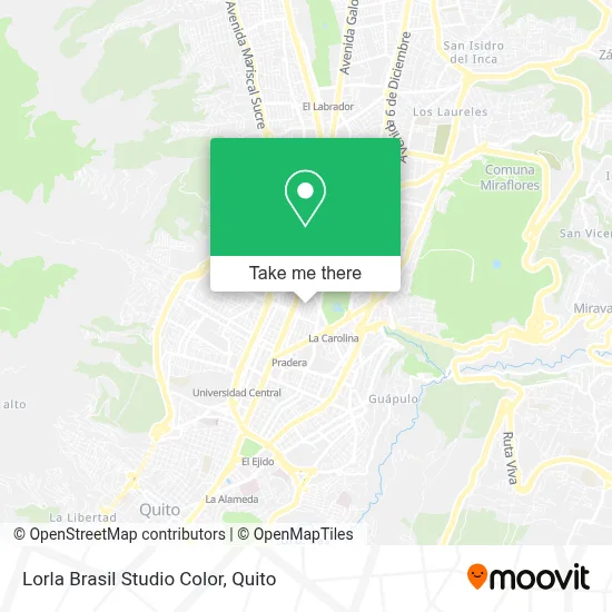 Lorla Brasil Studio Color map