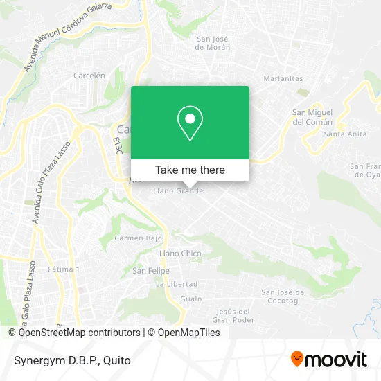Synergym D.B.P. map