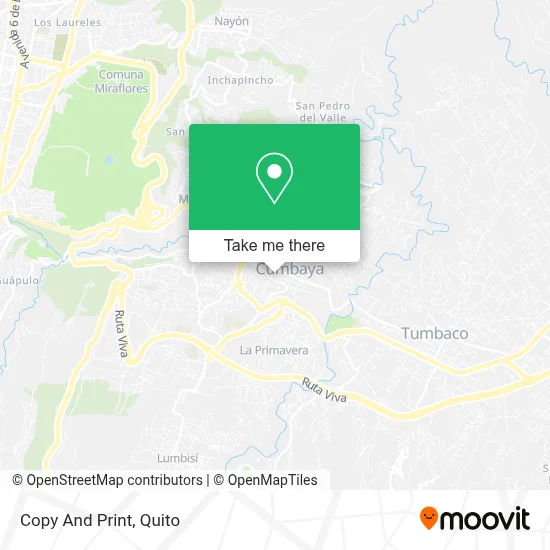 Copy And Print map