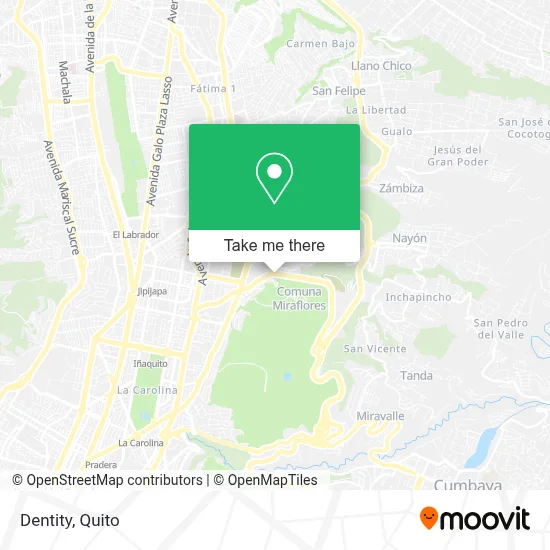 Dentity map