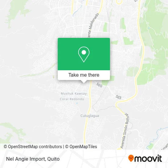 Nel Angie Import map
