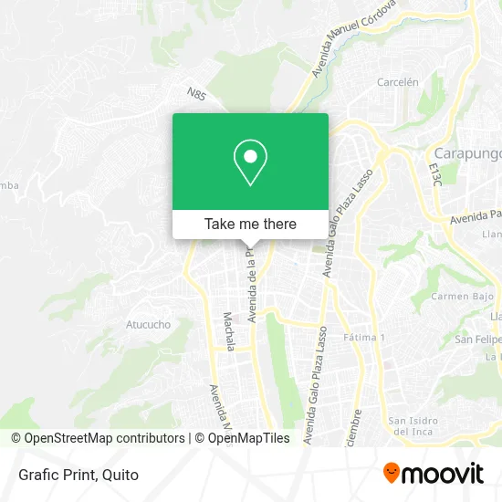 Grafic Print map