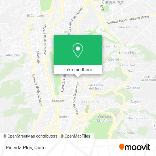 Pineida Plus map