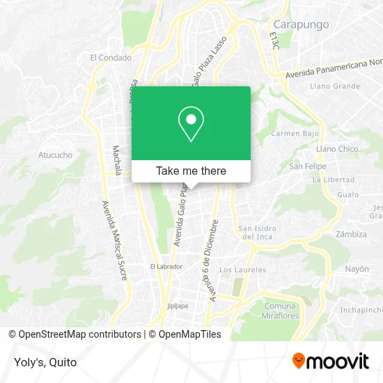 Yoly's map