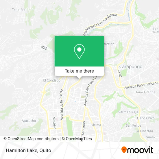 Hamilton Lake map