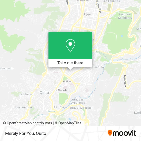 Merely For You map