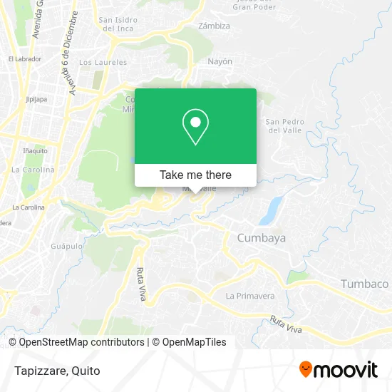 Tapizzare map
