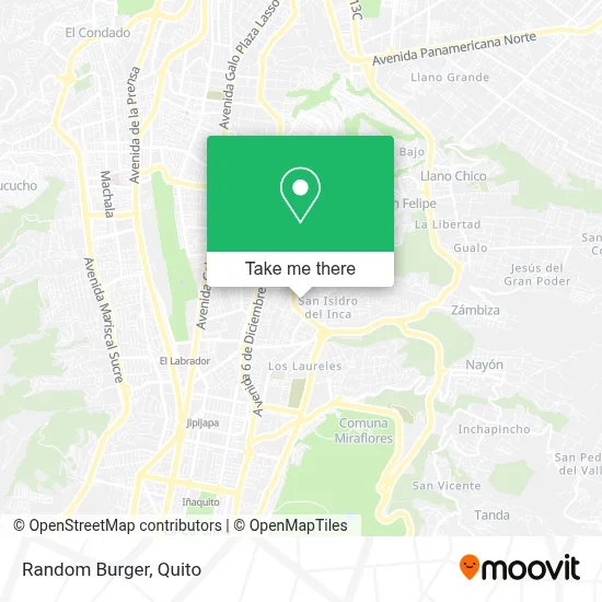 Random Burger map