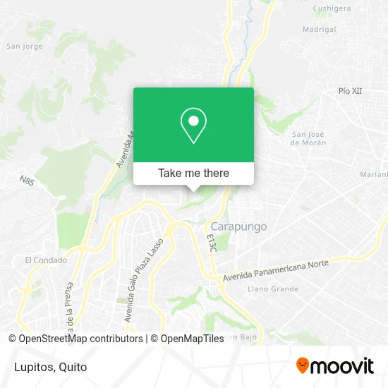 Lupitos map