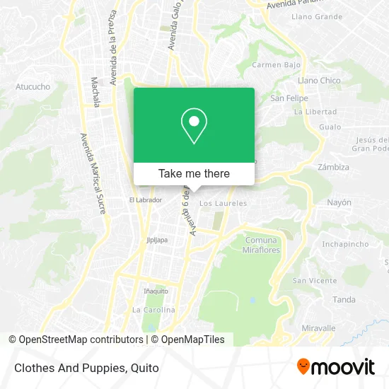 Clothes And Puppies map