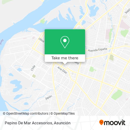 Mapa de Pepino De Mar Accesorios