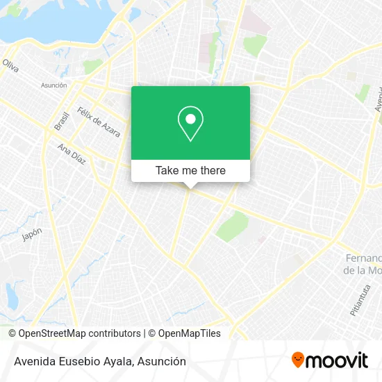 Avenida Eusebio Ayala map