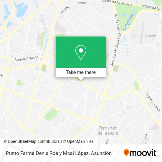 Punto Farma Denis Roa y Mcal López map