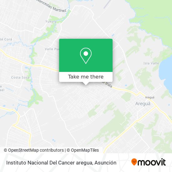 Instituto Nacional Del Cancer aregua map