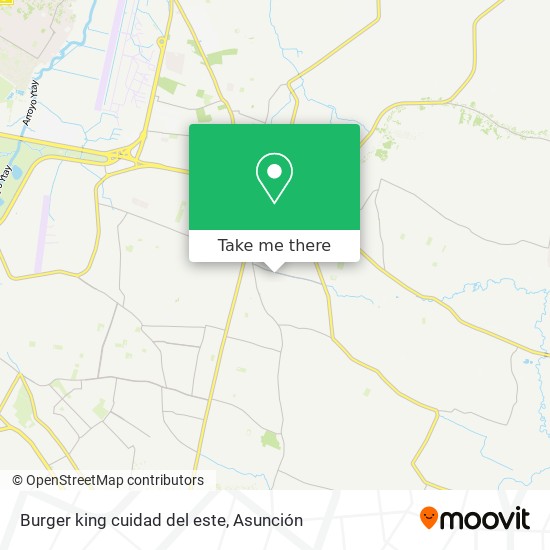 Burger king cuidad del este map