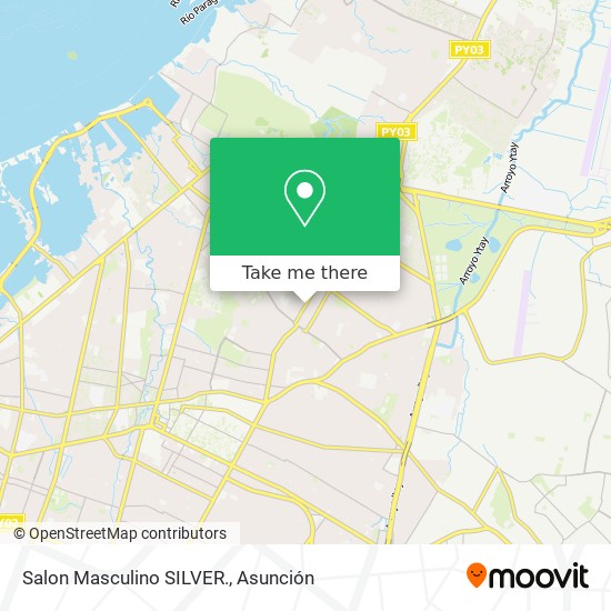 Salon Masculino SILVER. map
