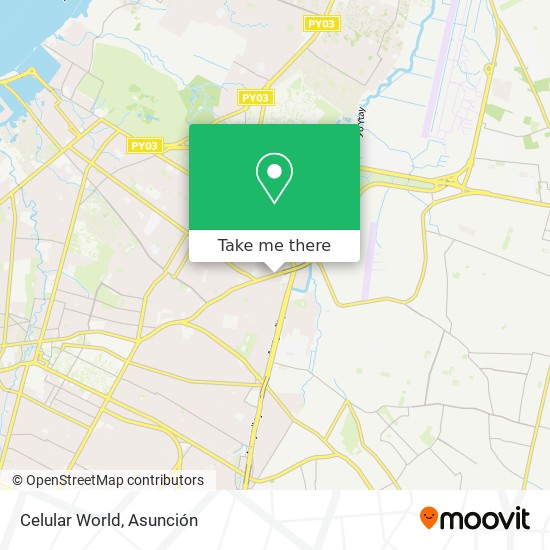 Celular World map