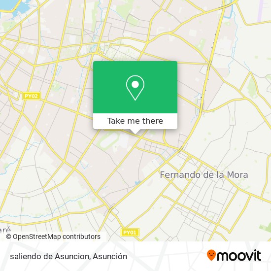 saliendo de Asuncion map
