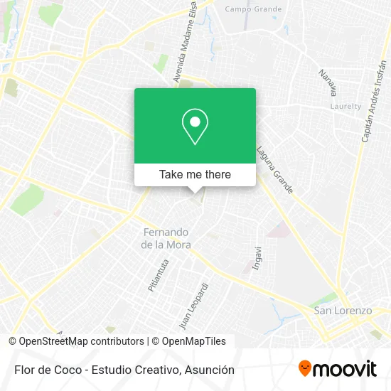 Mapa de Flor de Coco - Estudio Creativo