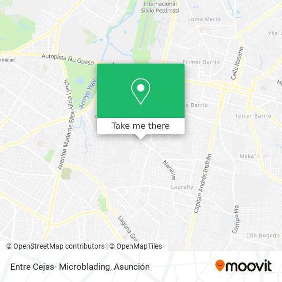Mapa de Entre Cejas- Microblading