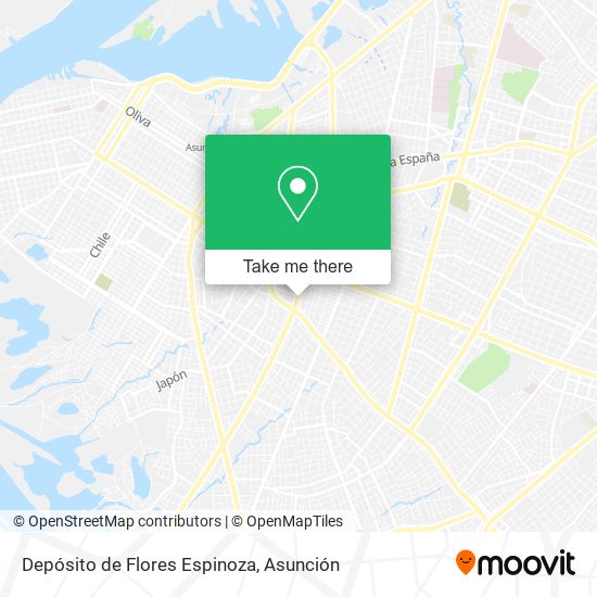 Mapa de Depósito de Flores Espinoza