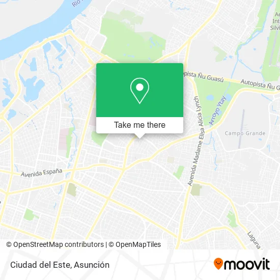 Ciudad del Este map