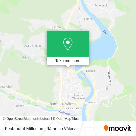 Restaurant Millenium map