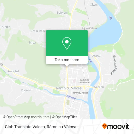 Glob Translate Valcea map