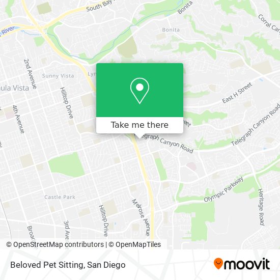 Beloved Pet Sitting map