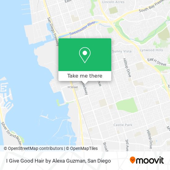 I Give Good Hair by Alexa Guzman map