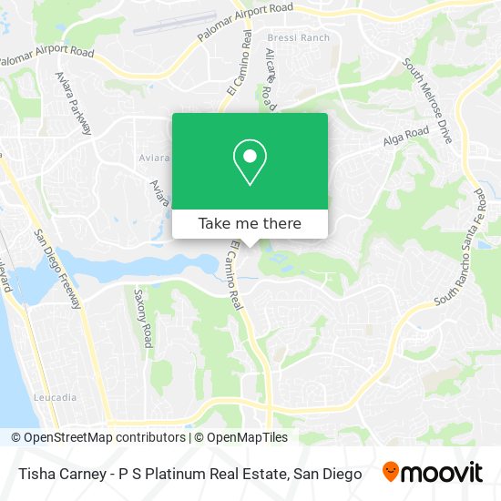 Mapa de Tisha Carney - P S Platinum Real Estate