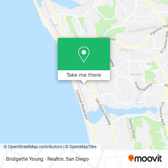 Bridgette Young - Realtor map