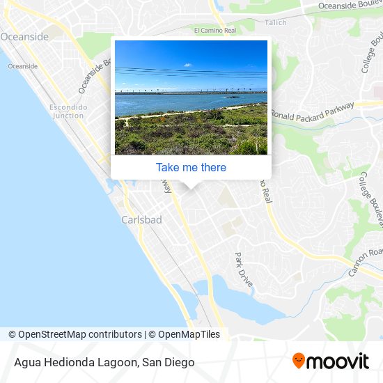 Agua Hedionda Lagoon map