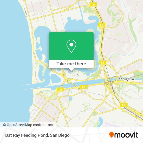 Bat Ray Feeding Pond map