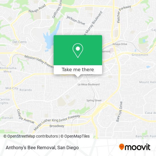 Anthony's Bee Removal map