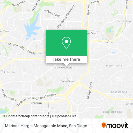 Mapa de Marissa Hargis Manageable Mane
