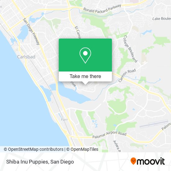 Shiba Inu Puppies map