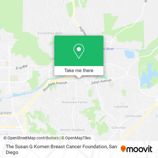 The Susan G Komen Breast Cancer Foundation map