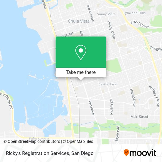 Ricky's Registration Services map