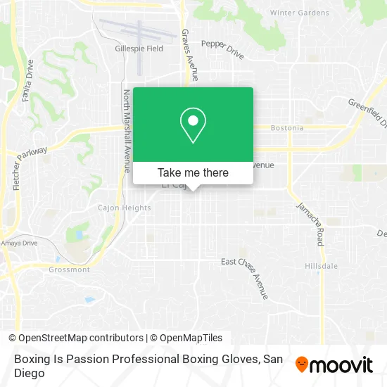 Mapa de Boxing Is Passion Professional Boxing Gloves
