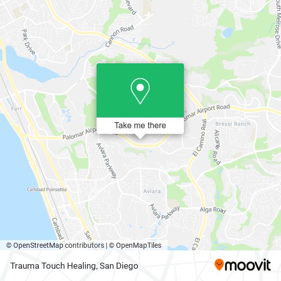 Mapa de Trauma Touch Healing