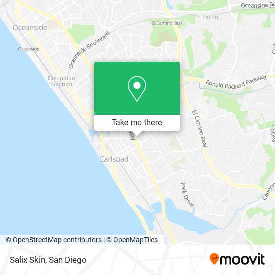 Salix Skin map