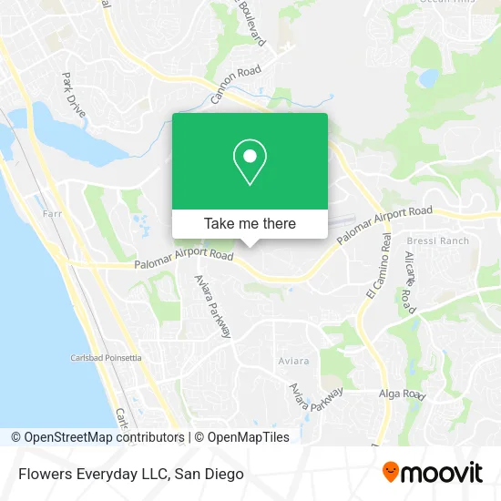 Mapa de Flowers Everyday LLC
