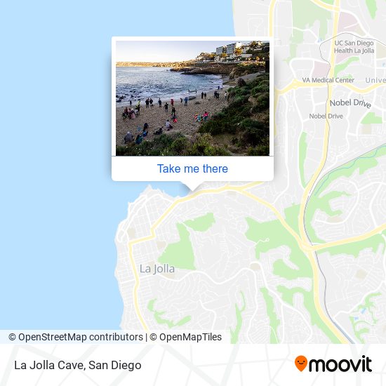 la jolla cove average water temperature