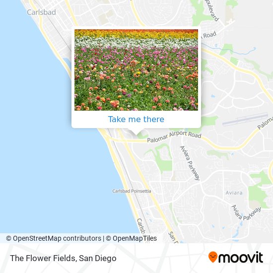 Mapa de The Flower Fields