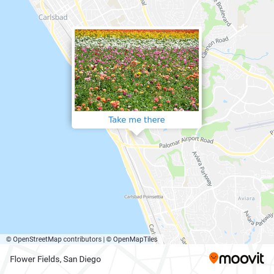 Flower Fields map