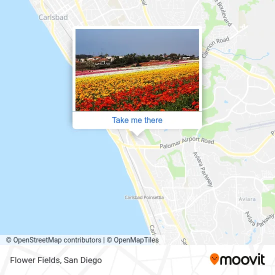Flower Fields map