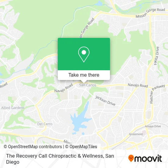 The Recovery Call Chiropractic & Wellness map
